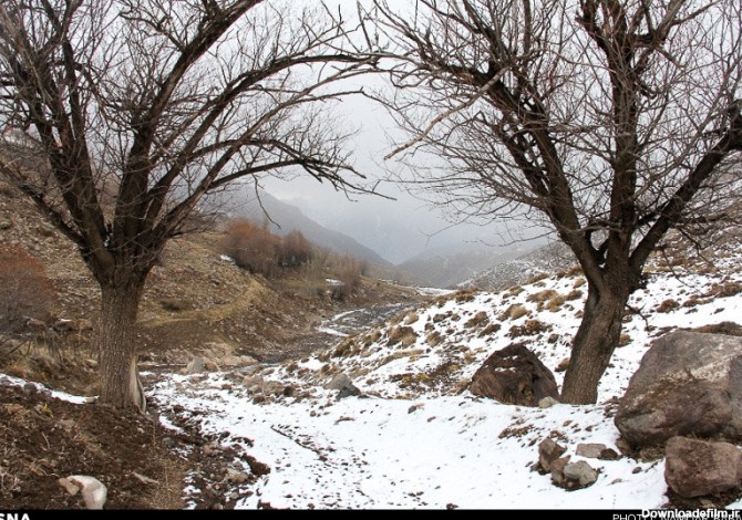 طبیعت زمستانی مازندران (عکس)