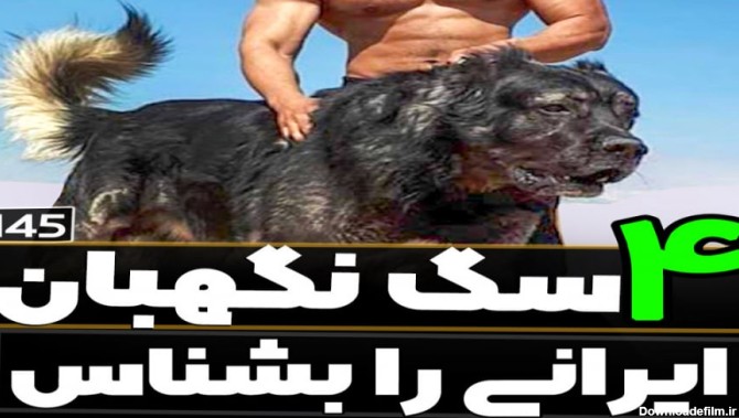 قدرتمند ترین سگ های ایرانی برای نگهبانی