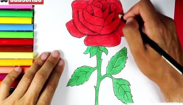 نقاشی-کودکانه-گل-سرخ