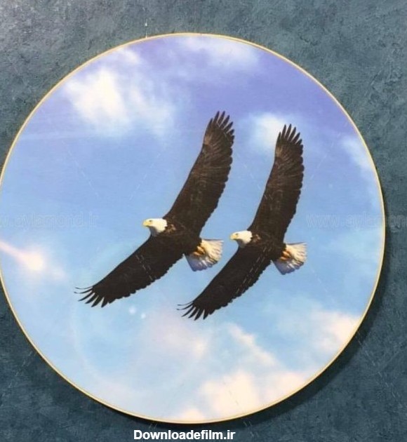 تابلو بوم فنگ شویی آیلاموند - طرح دو عقاب