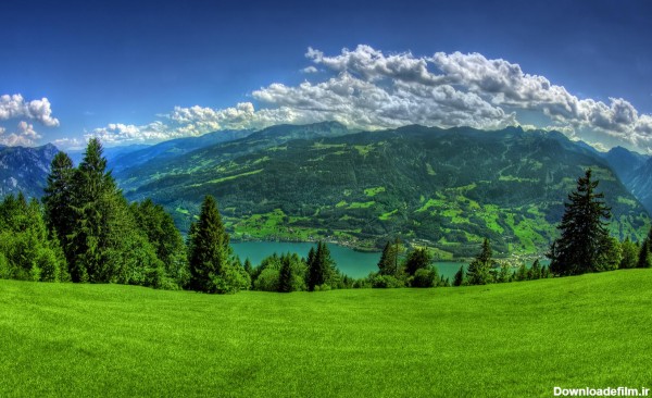 عکس زیبا از طبیعت سبز - عکس نودی