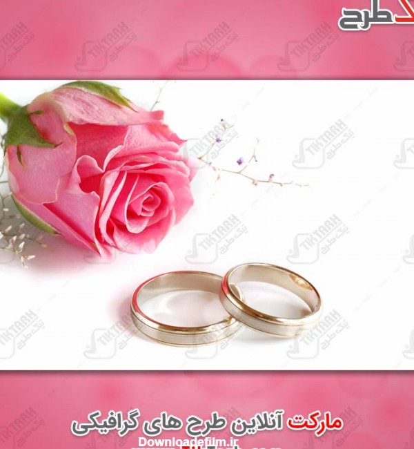 دانلود عکس گل رز با حلقه های ازدواج | تیک طرح مرجع گرافیک ایران