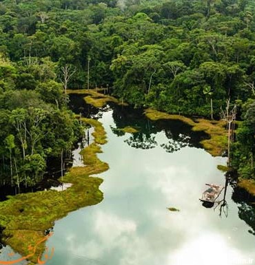 آمازون در پرو با تور و نکات سفر طبیعت جنگل های آمازون