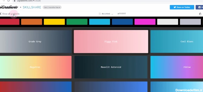 پلت رنگی ، بک گراند و جداکننده ها در طراحی سایت | ابزار وردپرس