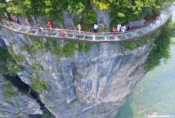 پل های شیشه ای بر روی دره های چین (عکس)