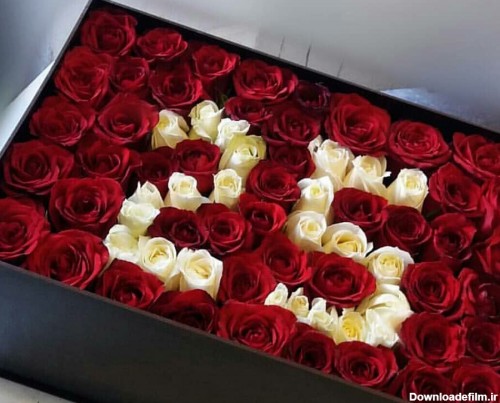 باکس گل تولد | ارسال آنلاین گل و هدیه به ایران با گلبازار سورپرایز