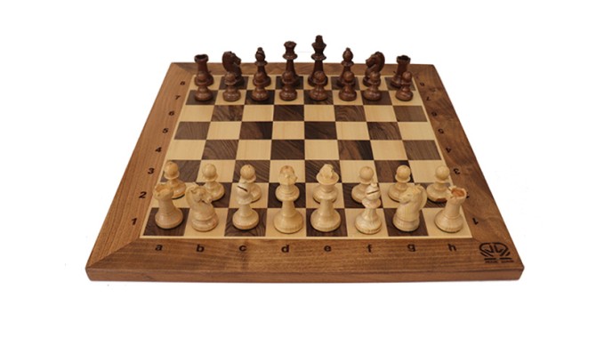 مشخصات، قیمت و خرید بهترین انواع صفحه و مهره شطرنج
