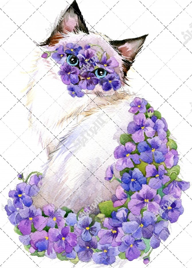 عکس نقاشی گربه با گل های بنفش