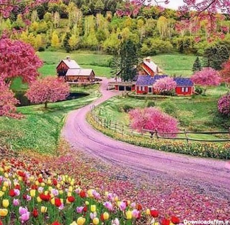 عکس منظره زیبای گل ۱۴۰۰ - عکس نودی