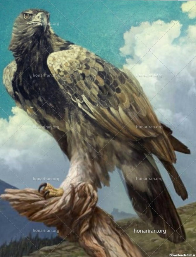 نقاشی رنگ روغن عقاب - نمایشگاه هنر ایران