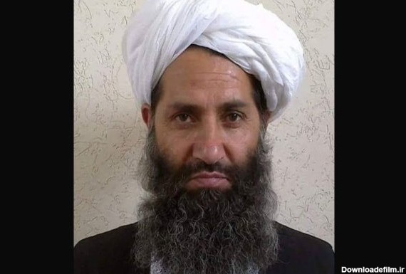 گروه طالبان در هرات از «ملا هیبت الله» حمایت نمی کند ...