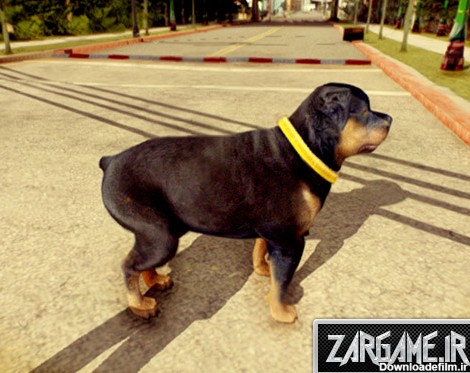 دانلود مد سگ GTA V برای بازی GTA San Andreas - زرگیم