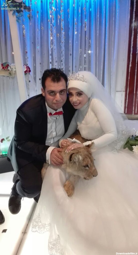 تصاویر/ عروس خانم با بچه شیر در شب عروسی!