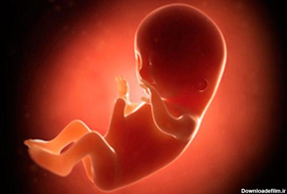 علائم صد در صد جنین پسر،تعیین جنسیت وعلائم بارداری پسر