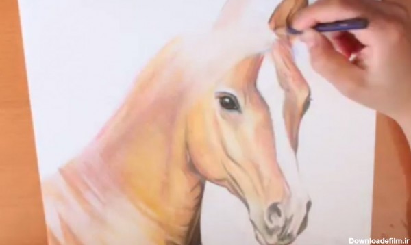 آموزش نقاشی سر اسب با مداد رنگی