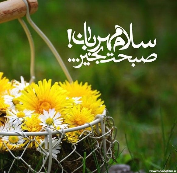 صبح بخیر اینستاگرامی؛ متن سلام صبح بخیر برای پیج کاری و بیزینس