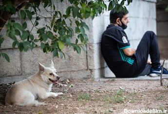 سگ‌گردانی در پارک‌ نیاوران تهران