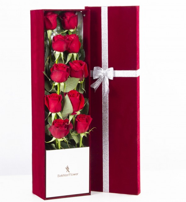 عکس باکس مخملی گل رز هلندی قرمز کد 2540