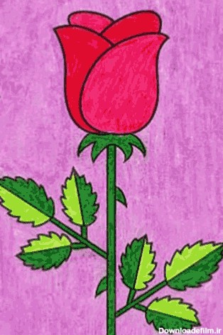 آموزش نقاشی گل رز ساده برای کودکان - پنجره ای به دنیای کودکان