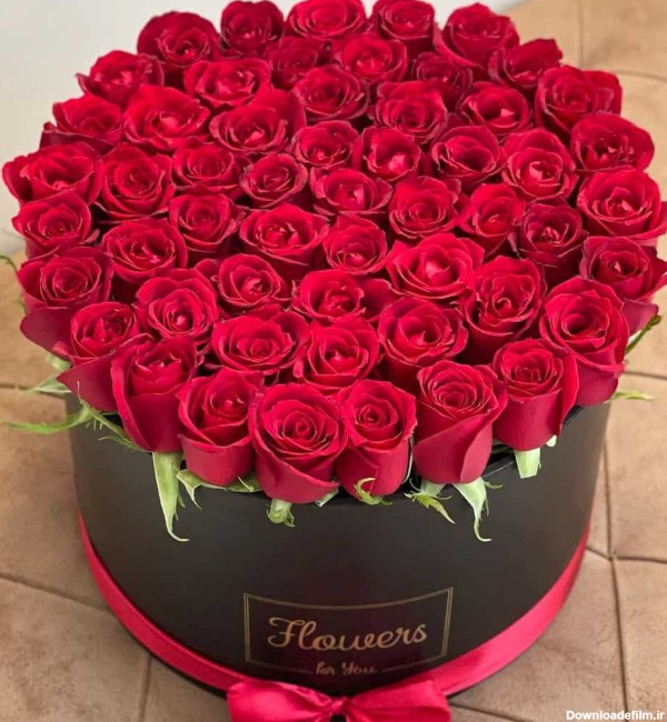 باکس گل 50 شاخه رز قرمز ویدا | سفارش باکس گل بزرگ و شیک رز