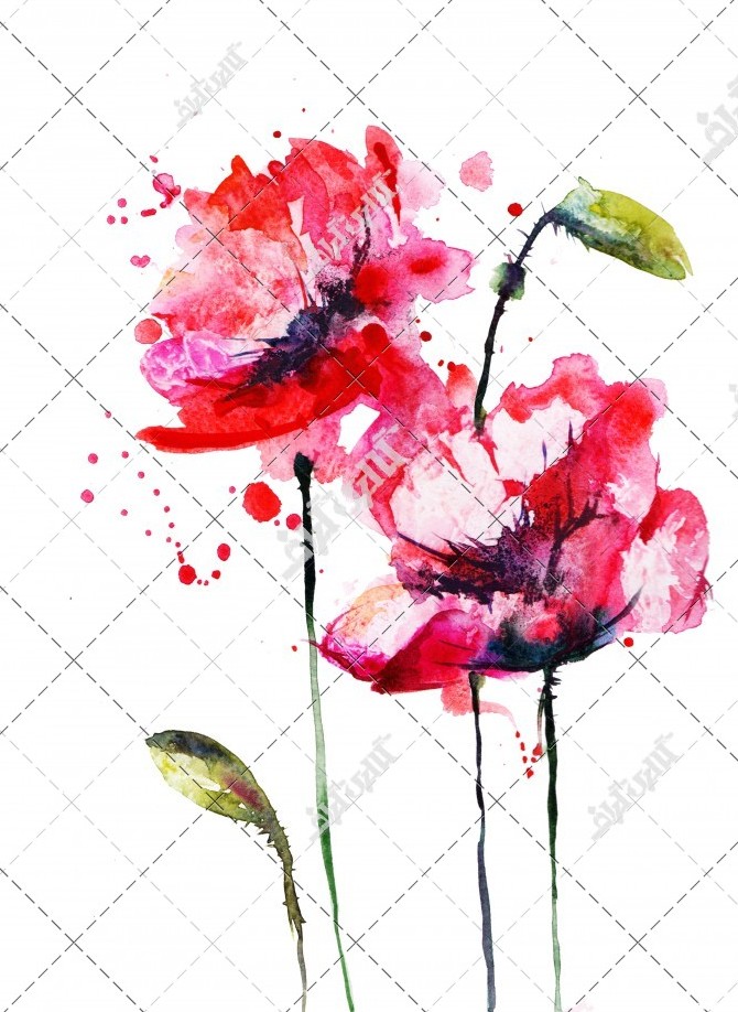 نقاشی آبرنگ گل لاله
