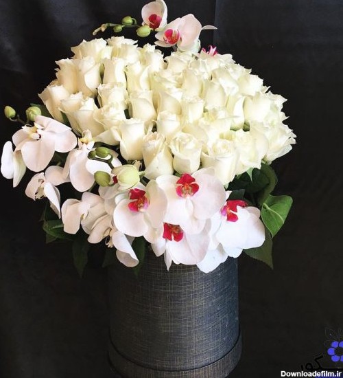 باکس گل حنا (ترکیب زیبای گل رز سفید و ارکیده)