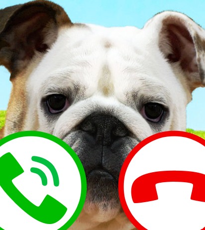 تماس جعلی بازی سگ - برنامه‌ها در Google Play