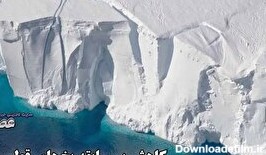 ذوب تاریخی یخ های قطب جنوب در 44 سال گذشته/ جوجه پنگوئن‌ها از بین می‌روند (فیلم)