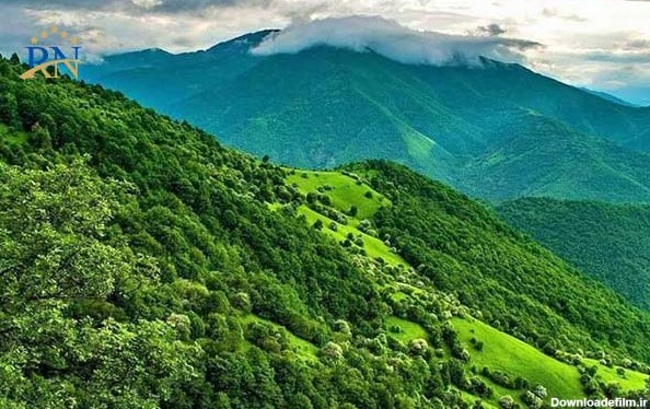 لیست زیباترین جنگل های ایران به همراه آدرس و عکس