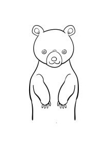 آموزش نقاشی خرس گام به گام | 0 تا 100 طراحی یک خرس – تابان تویز