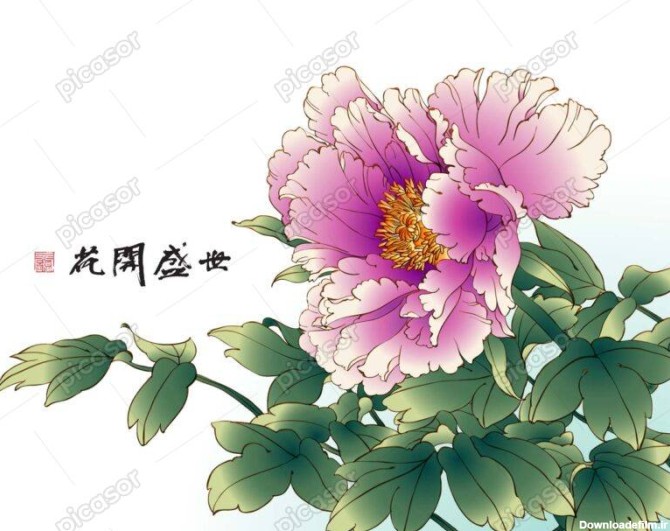 وکتور گل پیونی صورتی - وکتور نقاشی چینی از گل صورتی