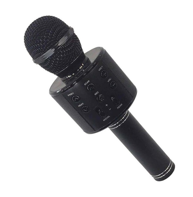 قیمت و خرید میکروفون اسپیکر مدل WS-858