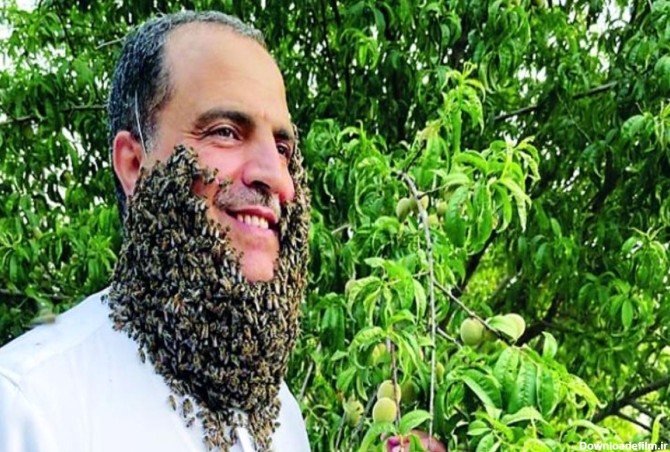 یک مرد عرب با نگهداری ۲۴۰ هزار زنبور روی صورتش رکورد زد!+عکس