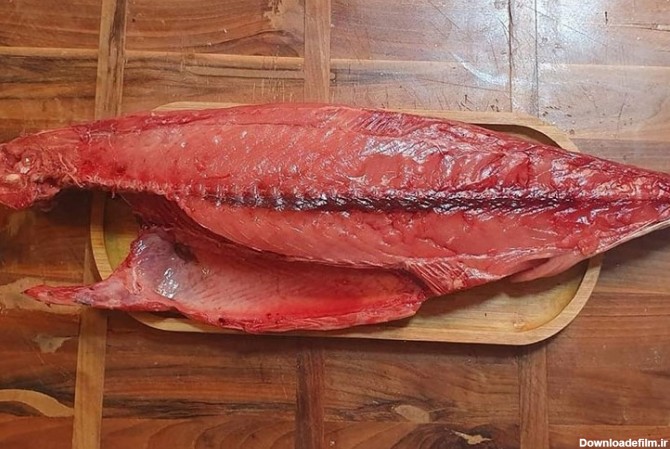 پخت ماهی هوور