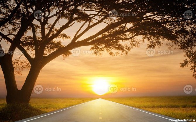 دانلود عکس طلوع خورشید در جاده | اوپیک