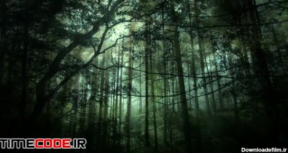 دانلود فوتیج جنگل تاریک و ترسناک Dark Fantasy Forest Background ...