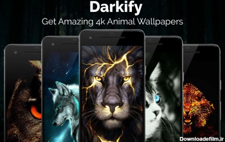 دانلود برنامه Black Wallpaper: Darkify برای اندروید | مایکت