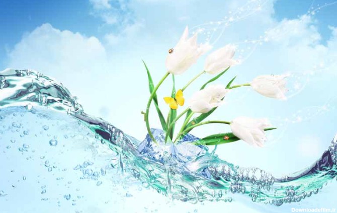 عکس فانتزی گل های سفید روی آب | تیک طرح مرجع گرافیک ایران