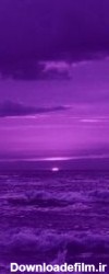 photo purple