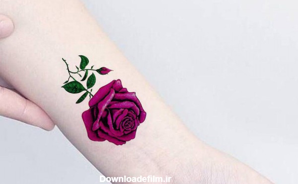 ۴۰ طرح شیک و جدید تاتو گل رز + نمادشناسی و معنی تتو گل رز - دترلند