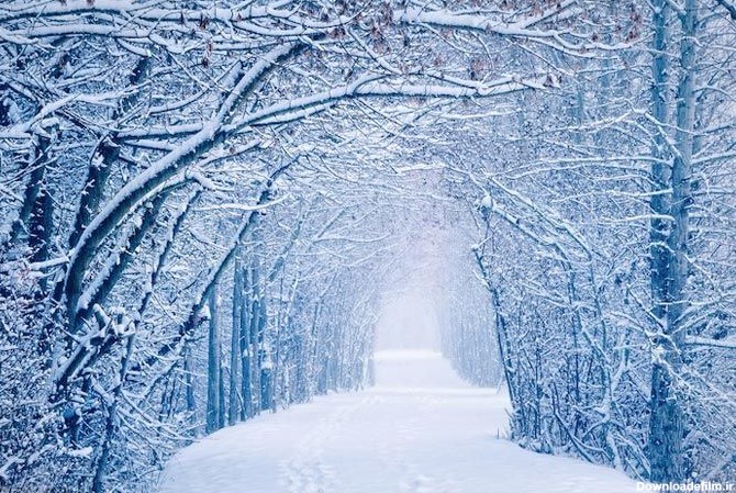 تصاویر شگفت انگیز زمستان در جهان - اسلايد تصاوير - عکس شماره ...