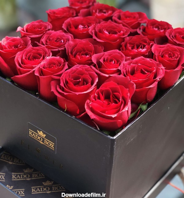 باکس گل رز قرمز - باکس گل رز به سبک متفاوت ! خرید باکس گل رز ...