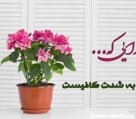 متن و جملات پرمعنا درباره خدا + عکس نوشته