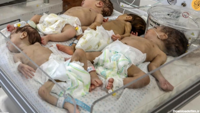 فرارو | (عکس) ۳۱ نوزاد نارس به جنوب غزه منتقل شدند