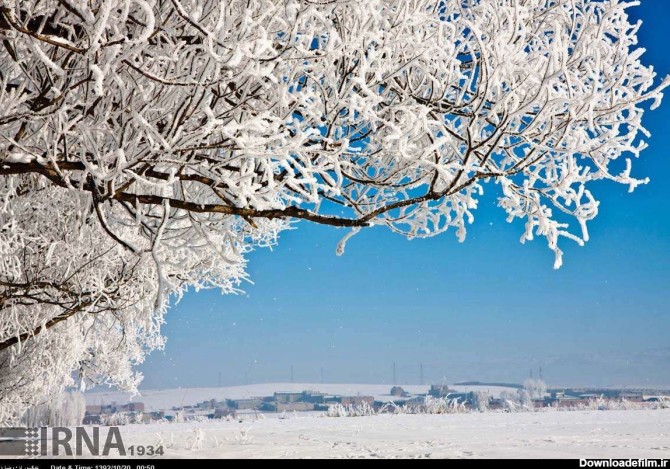 تصاویر / طبیعت زمستانی اردبیل