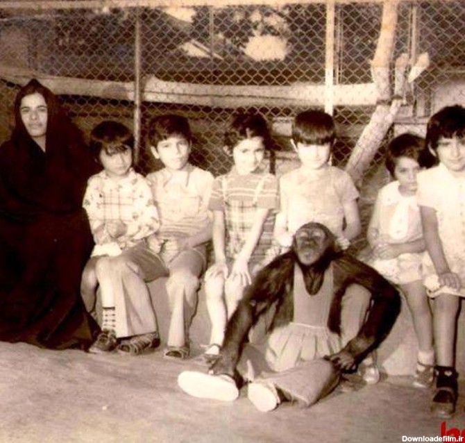 عکس یادگاری با میمون در باغ وحش طهران