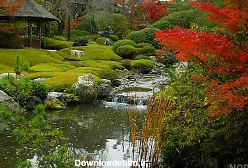 عکسهای طبیعت ژاپن - عکس نودی