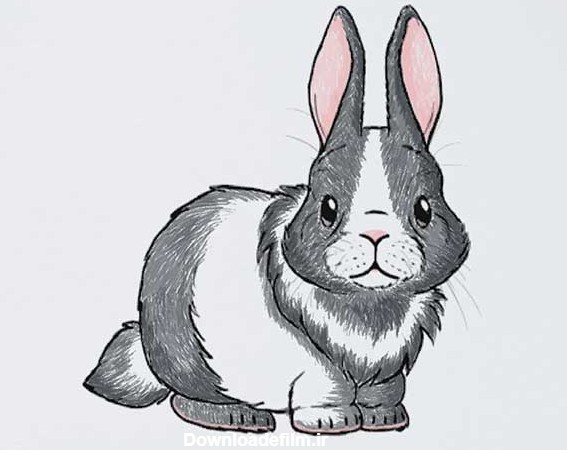 فیلم نقاشی خرگوش+22 عکس ایده آموزش "نقاشی خرگوش"-بسیار راحت و آسان ...