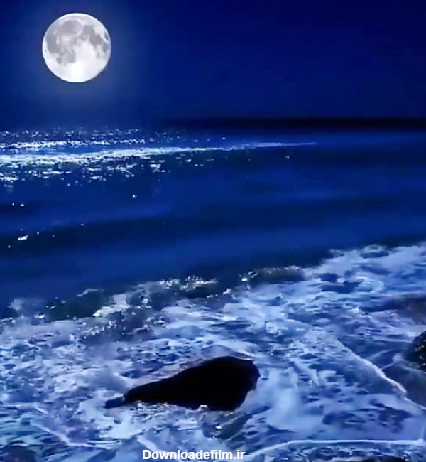 شب دریا مهتابی