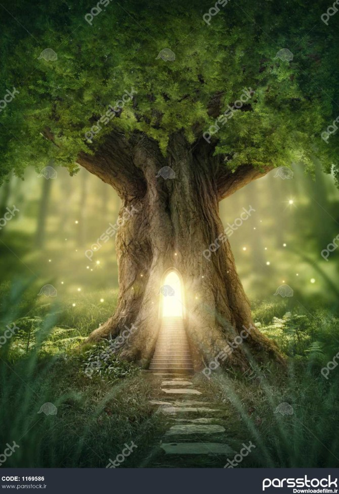 فانتزی درخت خانه با نور در جنگل 1169586